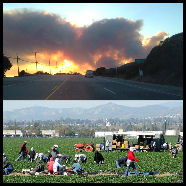 37044_483759758372927_1486955429_n