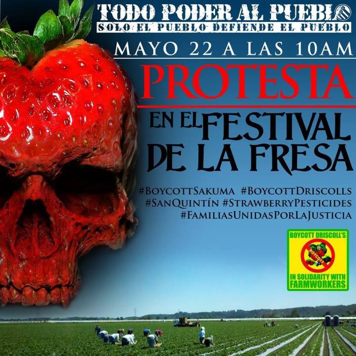 13178702_1032686046807493_2731904520336146293_n